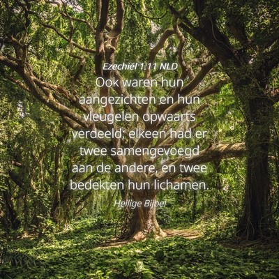 Picture 04 - Ezechiël 1:11 NLD - Ook waren hun aangezichten en hun vleugelen - Bible Verse Picture