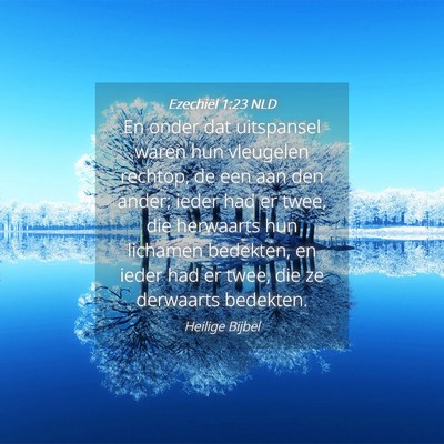 Picture 04 - Ezechiël 1:23 NLD - En onder dat uitspansel waren hun vleugelen - Bible Verse Picture