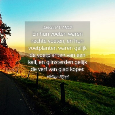 Picture 04 - Ezechiël 1:7 NLD - En hun voeten waren rechte voeten, en hun - Bible Verse Picture