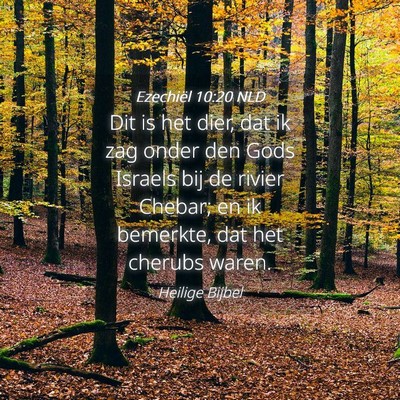 Picture 04 - Ezechiël 10:20 NLD - Dit is het dier, dat ik zag onder den Gods - Bible Verse Picture