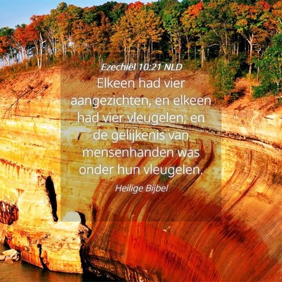 Picture 04 - Ezechiël 10:21 NLD - Elkeen had vier aangezichten, en elkeen had vier - Bible Verse Picture