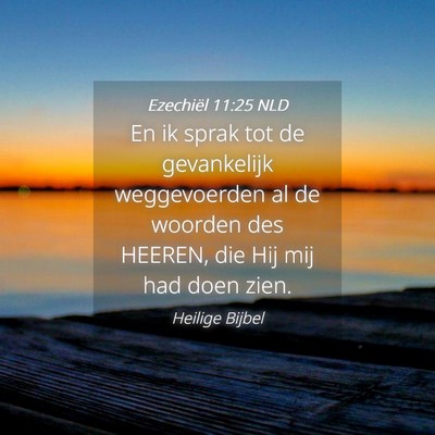 Picture 04 - Ezechiël 11:25 NLD - En ik sprak tot de gevankelijk weggevoerden al de - Bible Verse Picture