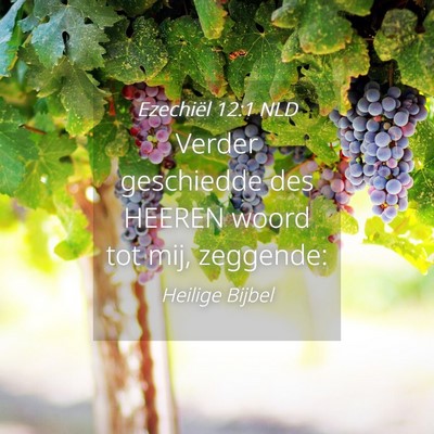 Picture 04 - Ezechiël 12:1 NLD - Verder geschiedde des HEEREN woord tot mij, - Bible Verse Picture