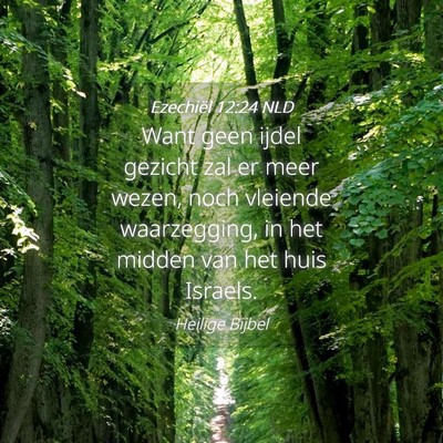 Picture 04 - Ezechiël 12:24 NLD - Want geen ijdel gezicht zal er meer wezen, noch - Bible Verse Picture