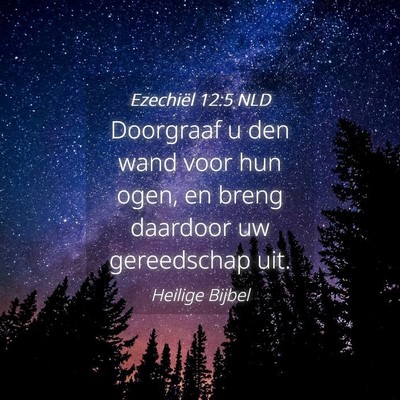 Picture 04 - Ezechiël 12:5 NLD - Doorgraaf u den wand voor hun ogen, en breng - Bible Verse Picture
