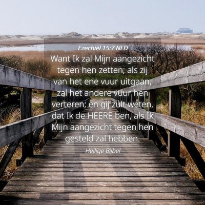 Picture 04 - Ezechiël 15:7 NLD - Want Ik zal Mijn aangezicht tegen hen zetten; als - Bible Verse Picture