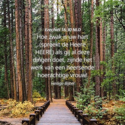 Picture 04 - Ezechiël 16:30 NLD - Hoe zwak is uw hart (spreekt de Heere HEERE) als - Bible Verse Picture