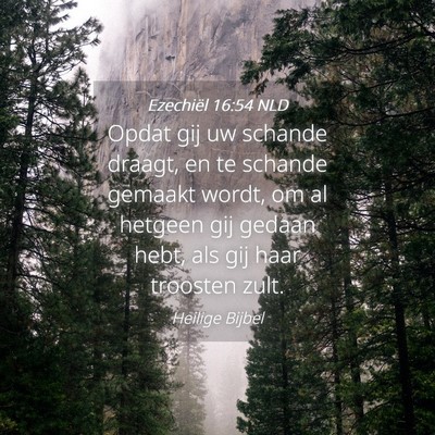 Picture 04 - Ezechiël 16:54 NLD - Opdat gij uw schande draagt, en te schande - Bible Verse Picture