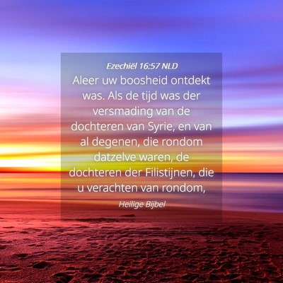 Picture 04 - Ezechiël 16:57 NLD - Aleer uw boosheid ontdekt was. Als de tijd was - Bible Verse Picture
