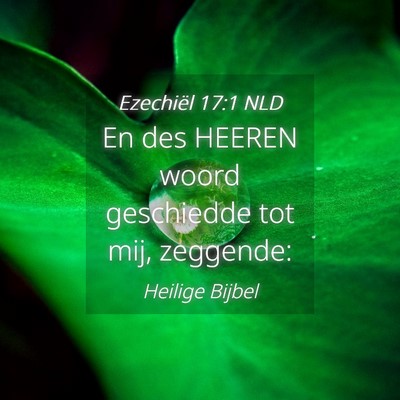 Picture 04 - Ezechiël 17:1 NLD - En des HEEREN woord geschiedde tot mij, - Bible Verse Picture
