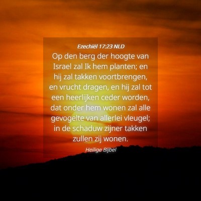 Picture 04 - Ezechiël 17:23 NLD - Op den berg der hoogte van Israel zal Ik hem - Bible Verse Picture