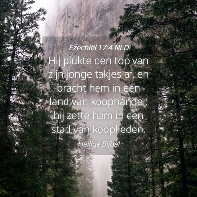 Picture 04 - Ezechiël 17:4 NLD - Hij plukte den top van zijn jonge takjes af, en - Bible Verse Picture