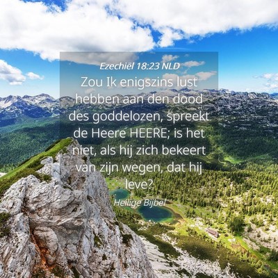Picture 04 - Ezechiël 18:23 NLD - Zou Ik enigszins lust hebben aan den dood des - Bible Verse Picture