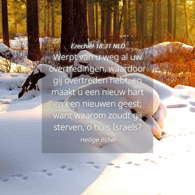 Picture 04 - Ezechiël 18:31 NLD - Werpt van u weg al uw overtredingen, waardoor gij - Bible Verse Picture