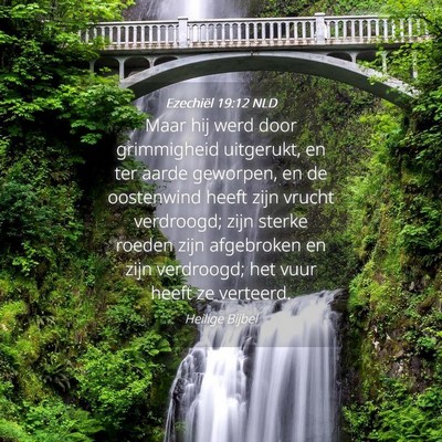 Picture 04 - Ezechiël 19:12 NLD - Maar hij werd door grimmigheid uitgerukt, en ter - Bible Verse Picture
