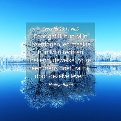 Picture 04 - Ezechiël 20:11 NLD - Daar gaf Ik hun Mijn inzettingen, en maakte hun - Bible Verse Picture