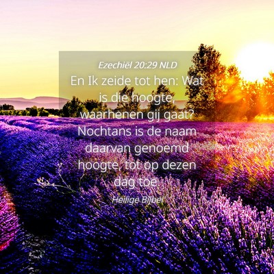 Picture 04 - Ezechiël 20:29 NLD - En Ik zeide tot hen: Wat is die hoogte, waarhenen - Bible Verse Picture