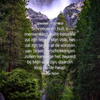 Picture 04 - Ezechiël 21:12 NLD - Schreeuw en huil, o mensenkind, want hetzelve zal - Bible Verse Picture