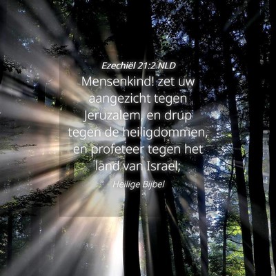 Picture 04 - Ezechiël 21:2 NLD - Mensenkind! zet uw aangezicht tegen Jeruzalem, en - Bible Verse Picture