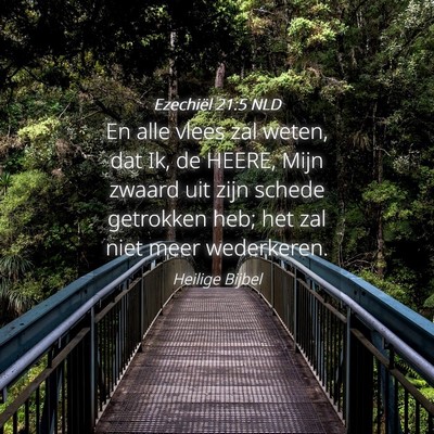 Picture 04 - Ezechiël 21:5 NLD - En alle vlees zal weten, dat Ik, de HEERE, Mijn - Bible Verse Picture