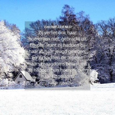 Picture 04 - Ezechiël 23:8 NLD - Zij verliet ook haar hoererijen niet, gebracht - Bible Verse Picture