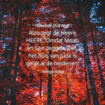 Picture 04 - Ezechiël 25:8 NLD - Alzo zegt de Heere HEERE: Omdat Moab en Seir - Bible Verse Picture
