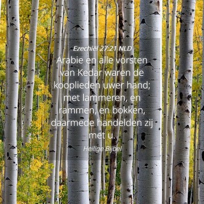 Picture 04 - Ezechiël 27:21 NLD - Arabie en alle vorsten van Kedar waren de - Bible Verse Picture
