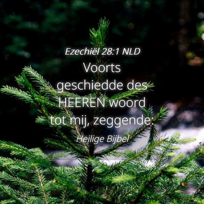 Picture 04 - Ezechiël 28:1 NLD - Voorts geschiedde des HEEREN woord tot mij, - Bible Verse Picture