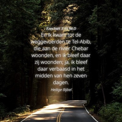 Picture 04 - Ezechiël 3:15 NLD - En ik kwam tot de weggevoerden te Tel-Abib, die - Bible Verse Picture