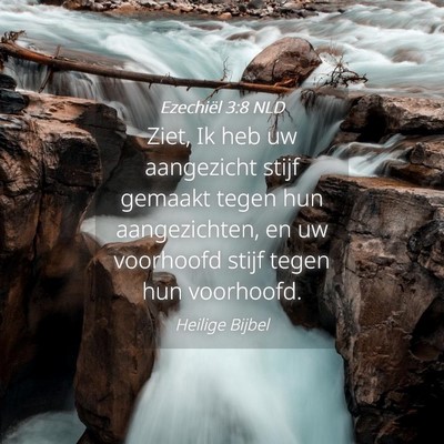 Picture 04 - Ezechiël 3:8 NLD - Ziet, Ik heb uw aangezicht stijf gemaakt tegen - Bible Verse Picture