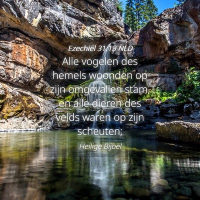 Picture 04 - Ezechiël 31:13 NLD - Alle vogelen des hemels woonden op zijn - Bible Verse Picture