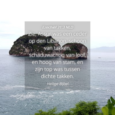 Picture 04 - Ezechiël 31:3 NLD - Zie, Assur was een ceder op den Libanon, schoon - Bible Verse Picture