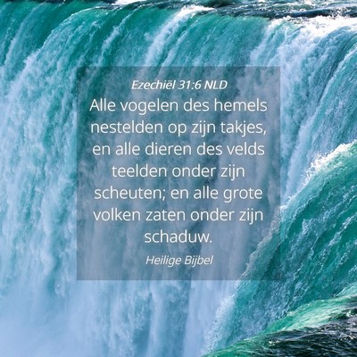 Picture 04 - Ezechiël 31:6 NLD - Alle vogelen des hemels nestelden op zijn takjes, - Bible Verse Picture