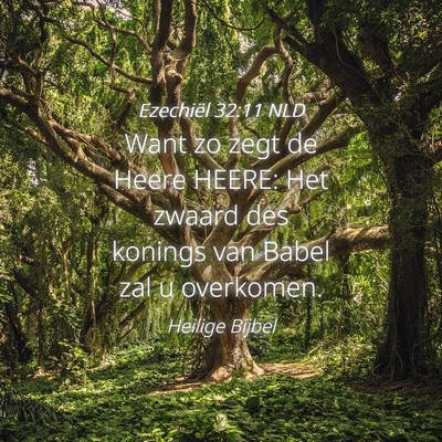 Picture 04 - Ezechiël 32:11 NLD - Want zo zegt de Heere HEERE: Het zwaard des - Bible Verse Picture