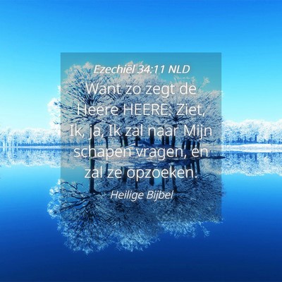 Picture 04 - Ezechiël 34:11 NLD - Want zo zegt de Heere HEERE: Ziet, Ik, ja, Ik zal - Bible Verse Picture