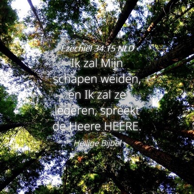 Picture 04 - Ezechiël 34:15 NLD - Ik zal Mijn schapen weiden, en Ik zal ze legeren, - Bible Verse Picture