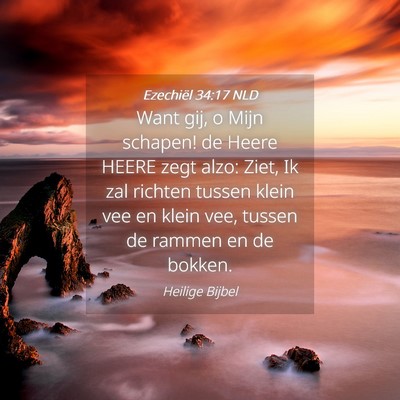 Picture 04 - Ezechiël 34:17 NLD - Want gij, o Mijn schapen! de Heere HEERE zegt - Bible Verse Picture