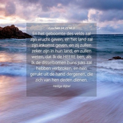Picture 04 - Ezechiël 34:27 NLD - En het geboomte des velds zal zijn vrucht geven, - Bible Verse Picture