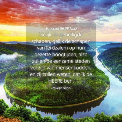 Picture 04 - Ezechiël 36:38 NLD - Gelijk de geheiligde schapen, gelijk de schapen - Bible Verse Picture