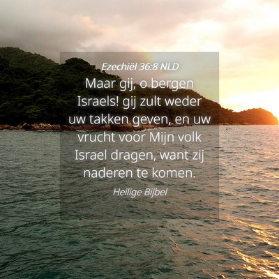 Picture 04 - Ezechiël 36:8 NLD - Maar gij, o bergen Israels! gij zult weder uw - Bible Verse Picture