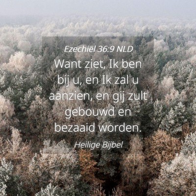 Picture 04 - Ezechiël 36:9 NLD - Want ziet, Ik ben bij u, en Ik zal u aanzien, en - Bible Verse Picture