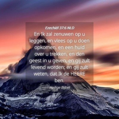 Picture 04 - Ezechiël 37:6 NLD - En Ik zal zenuwen op u leggen, en vlees op u doen - Bible Verse Picture