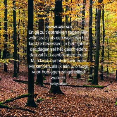 Picture 04 - Ezechiël 38:16 NLD - En gij zult optrekken tegen Mijn volk Israel, als - Bible Verse Picture
