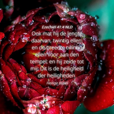 Picture 04 - Ezechiël 41:4 NLD - Ook mat hij de lengte daarvan, twintig ellen, en - Bible Verse Picture