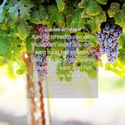 Picture 04 - Ezechiël 42:10 NLD - Aan de breedte van den muur des voorhofs, den weg - Bible Verse Picture