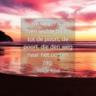 Picture 04 - Ezechiël 43:1 NLD - Toen leidde hij mij tot de poort, de poort, die - Bible Verse Picture