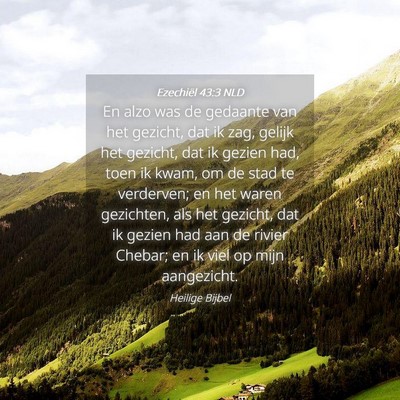 Picture 04 - Ezechiël 43:3 NLD - En alzo was de gedaante van het gezicht, dat ik - Bible Verse Picture