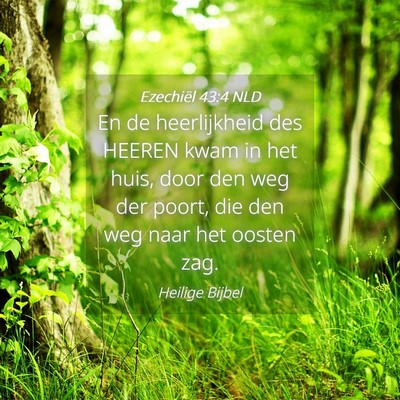 Picture 04 - Ezechiël 43:4 NLD - En de heerlijkheid des HEEREN kwam in het huis, - Bible Verse Picture