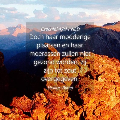 Picture 04 - Ezechiël 47:11 NLD - Doch haar modderige plaatsen en haar moerassen - Bible Verse Picture
