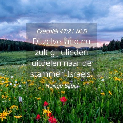 Picture 04 - Ezechiël 47:21 NLD - Ditzelve land nu zult gij ulieden uitdelen naar - Bible Verse Picture